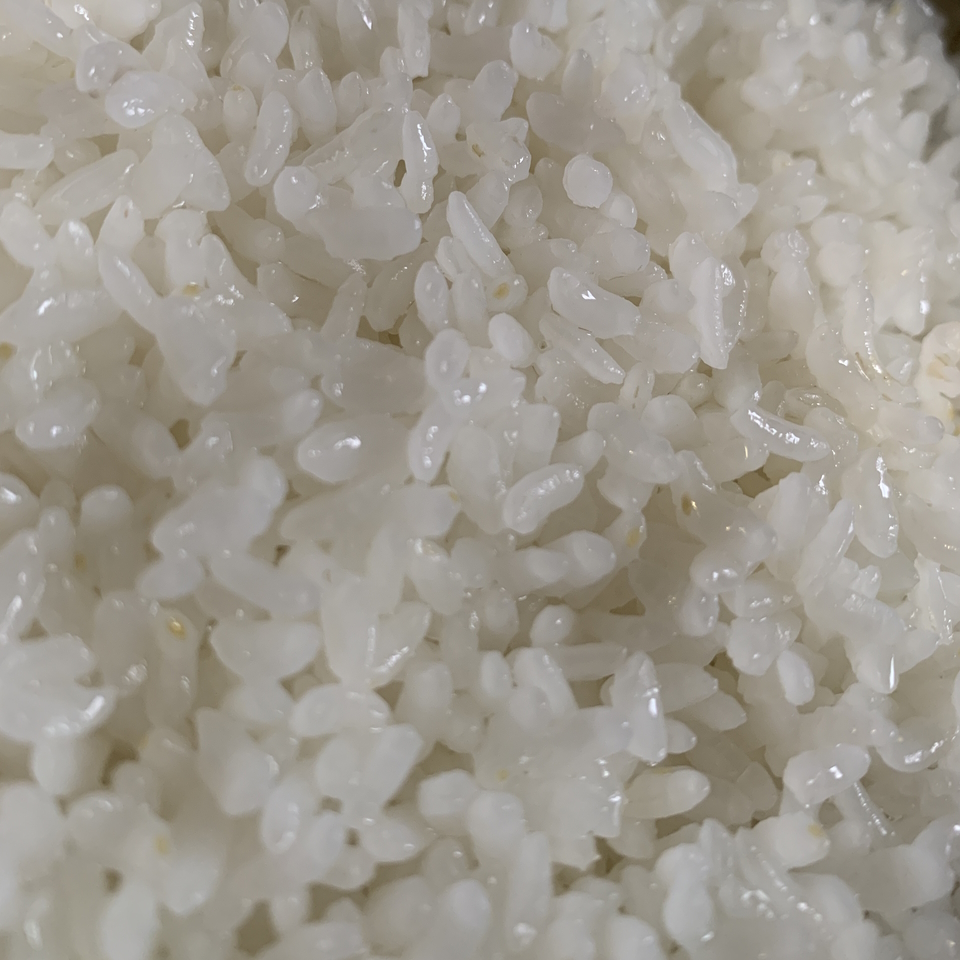 Side-by-side comparison of raw (left) and soaked (right) rice